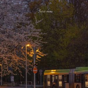 老公帮我添添的水好多
